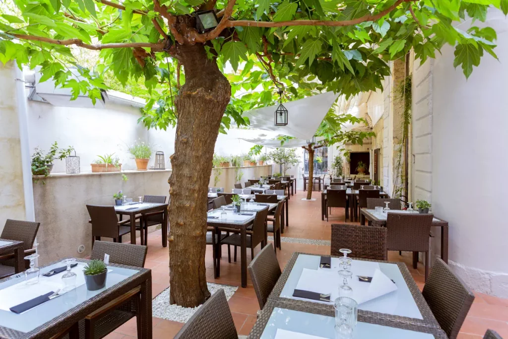 restaurant Nîmes terrasse abritee patio ombragé